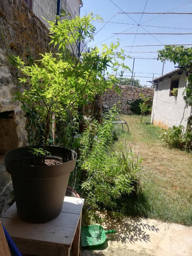 GaližanaOld Istrian House,Free Parking公寓 外观 照片